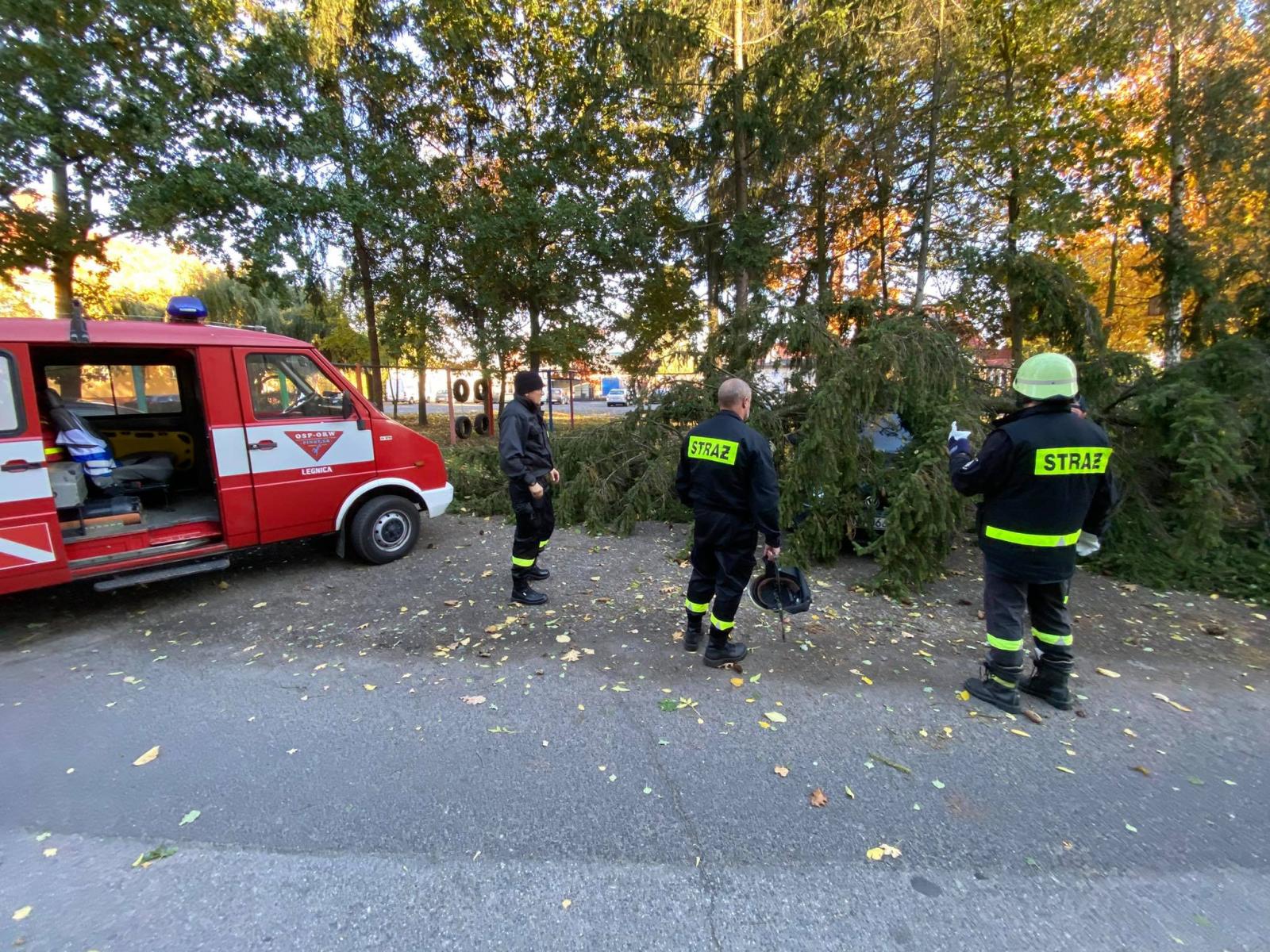 Klub Płetwonurków OSP-ORW „Pinoter” w akcji podczas wichury