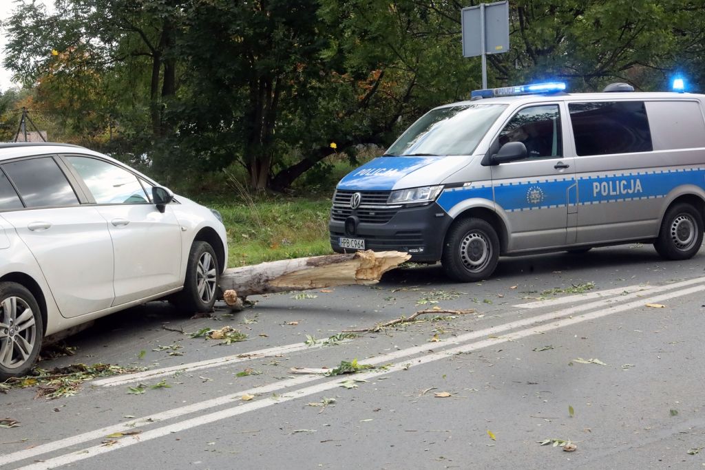 Zobacz jakie szkody wyrządziła czwartkowa wichura
