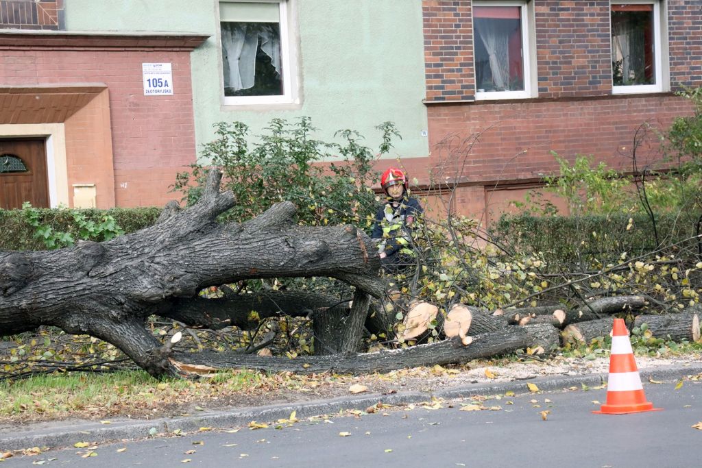 Zobacz jakie szkody wyrządziła czwartkowa wichura