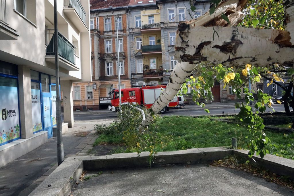 Zobacz jakie szkody wyrządziła czwartkowa wichura