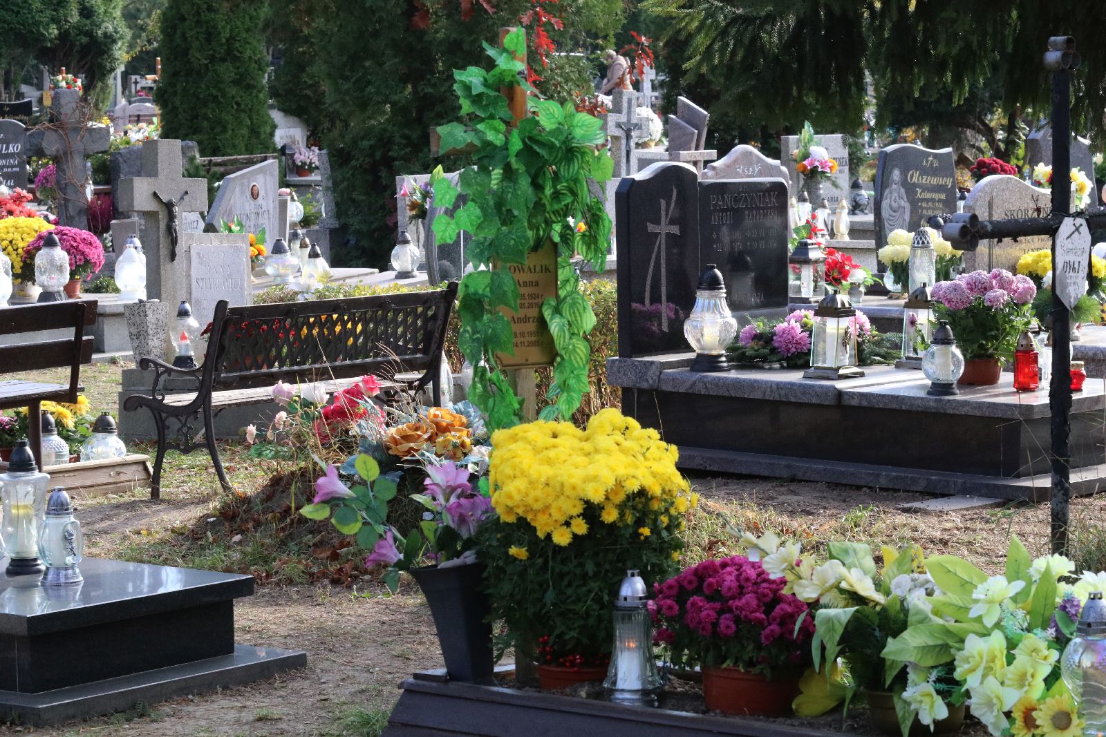 Legnicki cmentarz w dniu Wszystkich Świętych