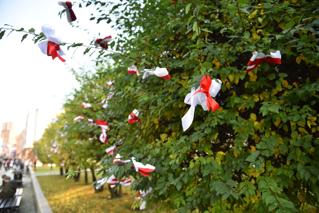 Rozwinęli biało–czerwoną w dniu święta niepodległości