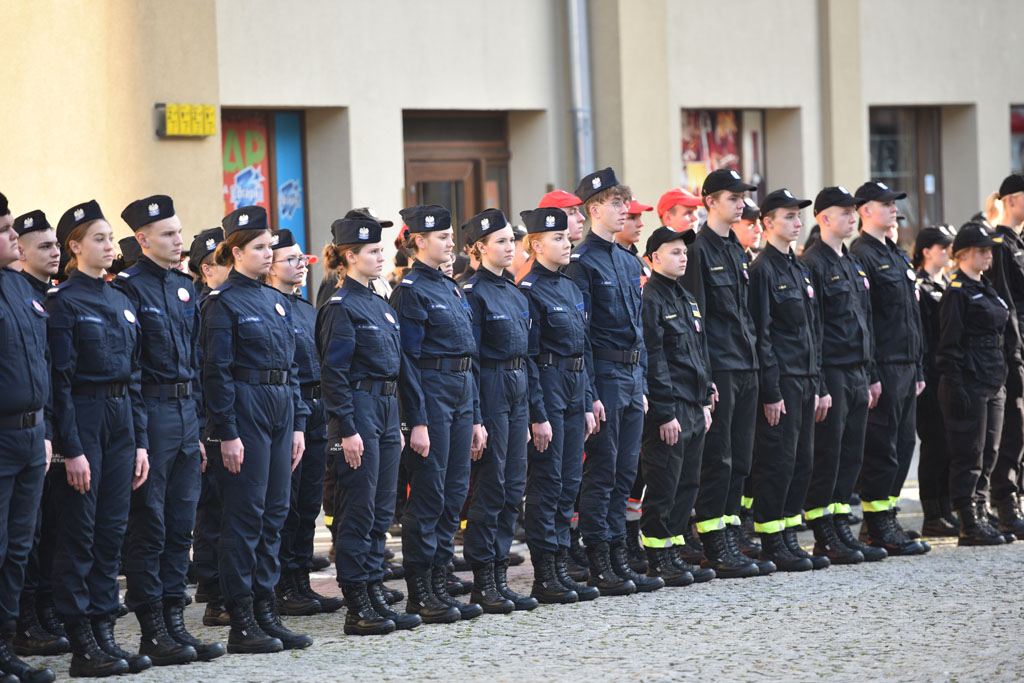 Złożyli rotę ślubowania w dniu święta niepodległości