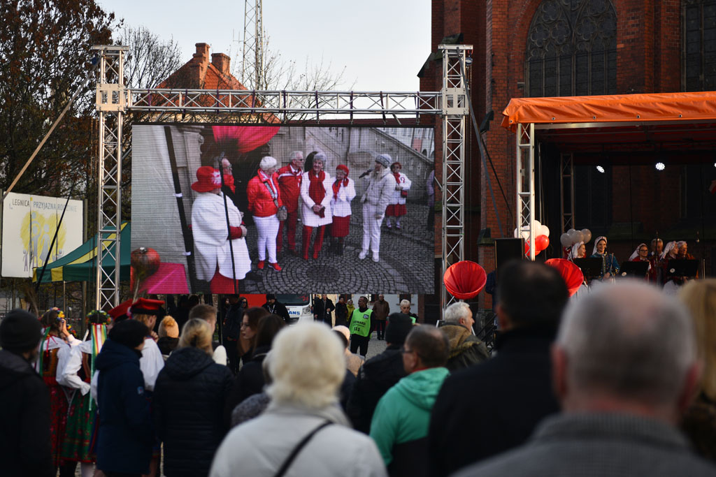Kilka godzin trwał Legnicki Piknik Patriotyczny 2021
