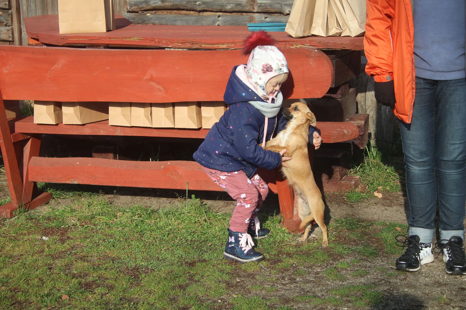 „Hania w Krainie Danieli” rymowanki autorstwa Guzickiego