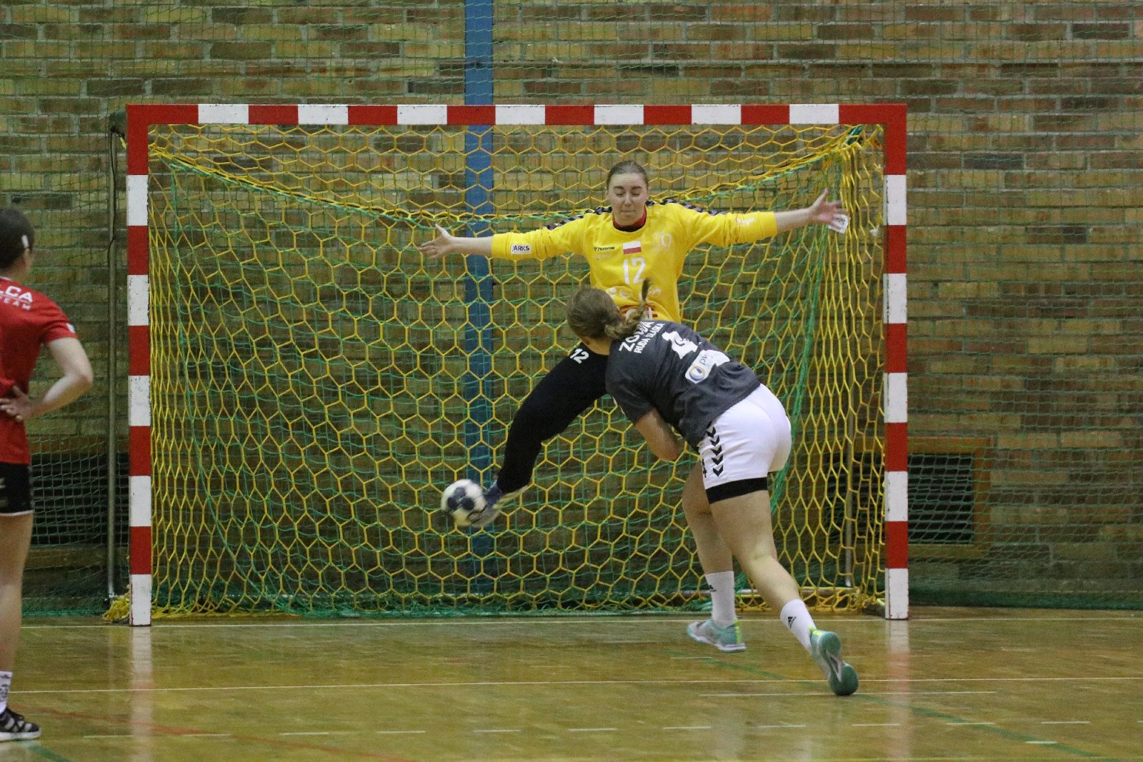 Piłkarki ręczne Dziewiątki Legnica wygrywają z Rudą Śląską