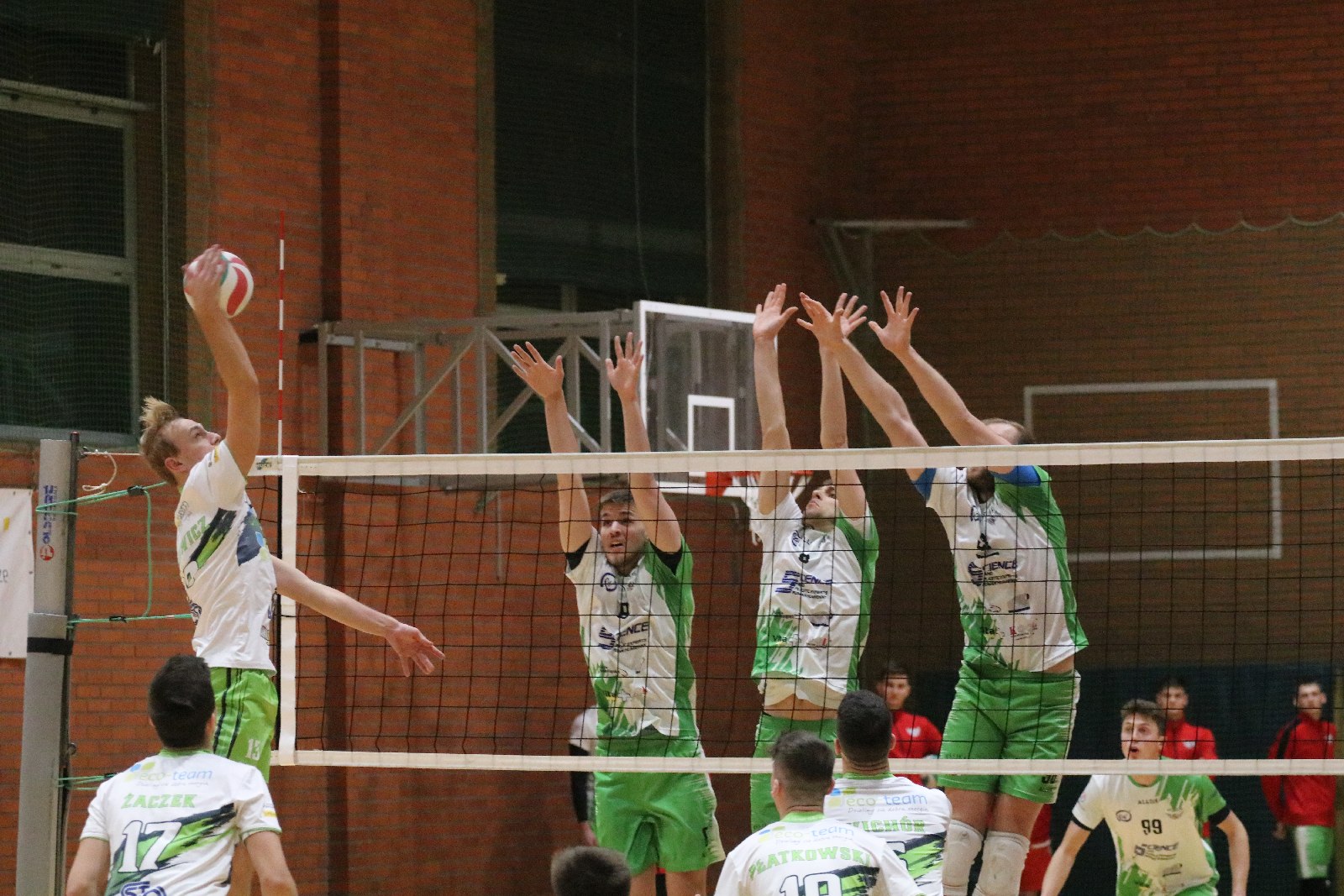 Niespodzianka w Legnicy. Ikar pokonał Eco-Team AZS Stoelzle