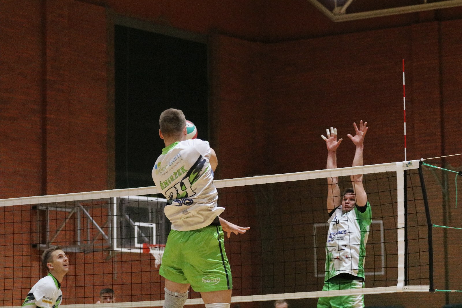 Niespodzianka w Legnicy. Ikar pokonał Eco-Team AZS Stoelzle