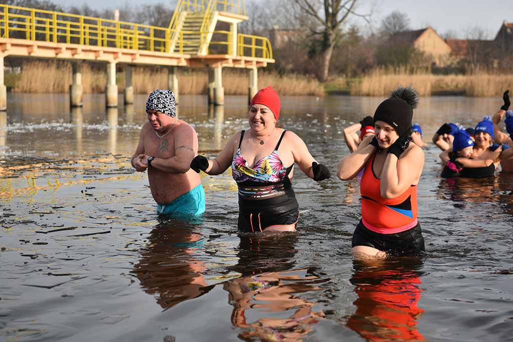 Morsy świętowały ósme urodziny na Kąpielisku Kormoran