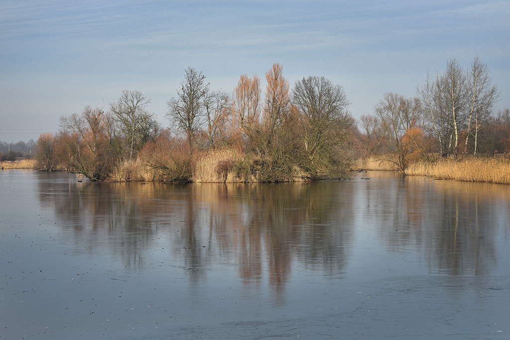 Morsy świętowały ósme urodziny na Kąpielisku Kormoran