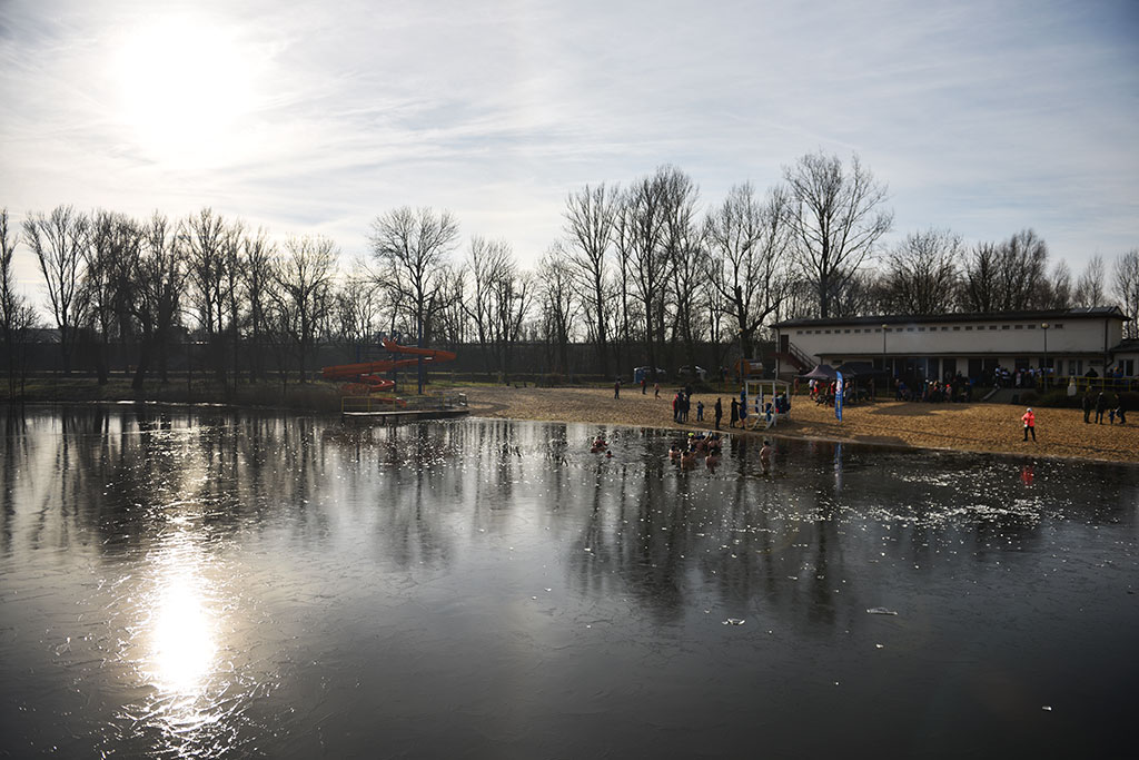 Morsy świętowały ósme urodziny na Kąpielisku Kormoran