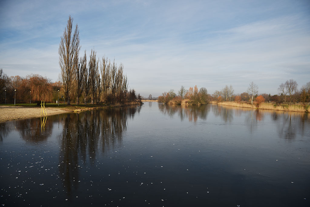 Morsy świętowały ósme urodziny na Kąpielisku Kormoran