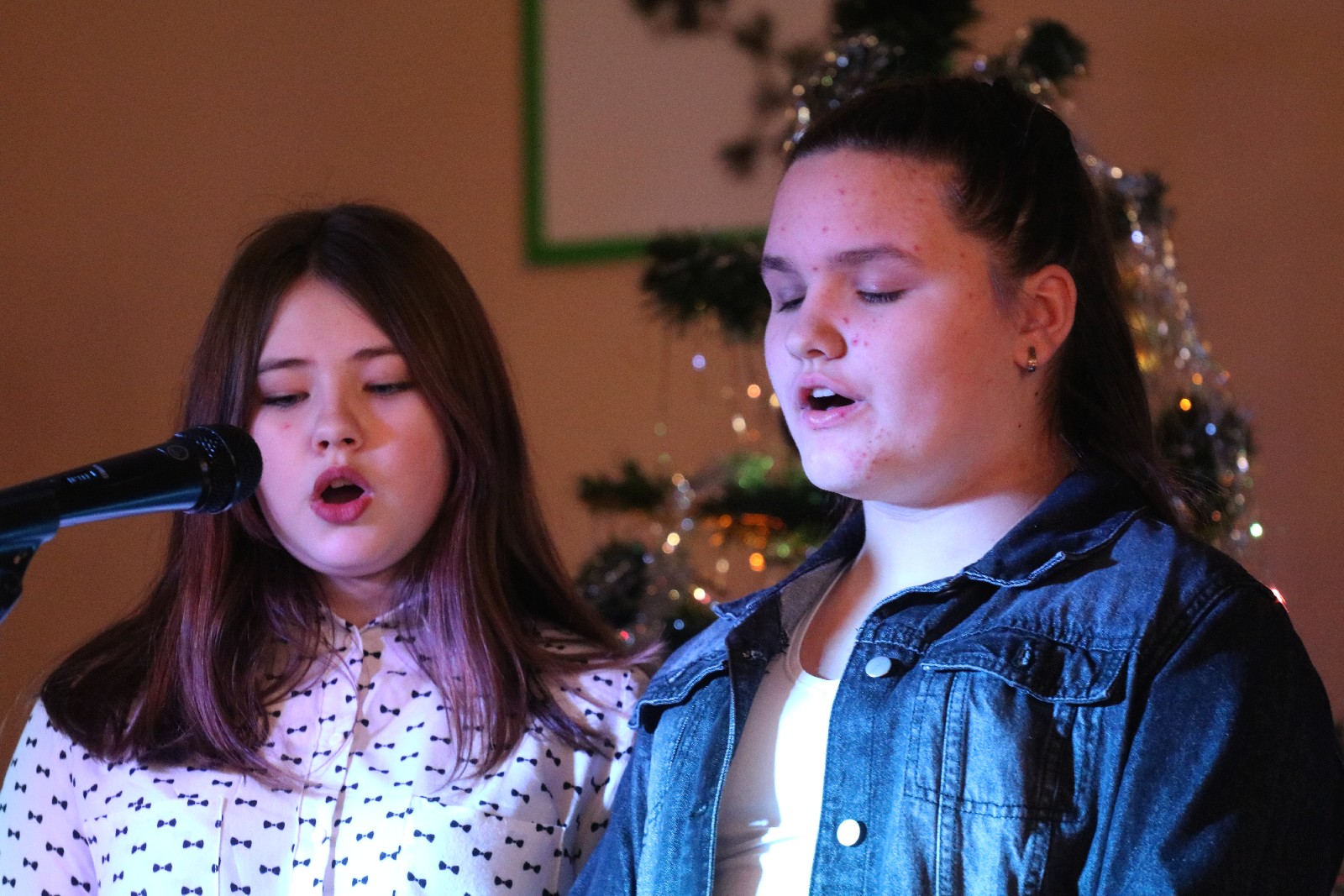 Dzień Babci i Dziadka w Rosochatej
