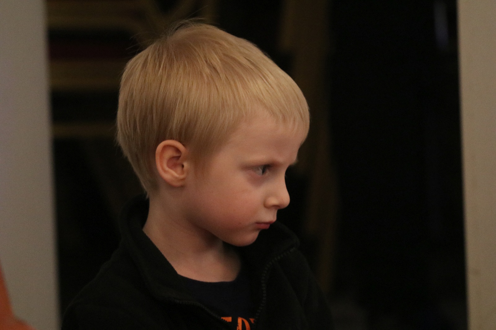 Dzień Babci i Dziadka w Rosochatej
