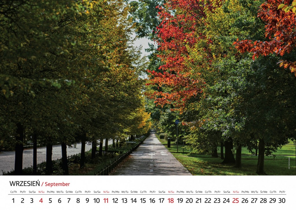 Zobacz jak wygląda kalendarz miejski na 2022 r. W środę promocja