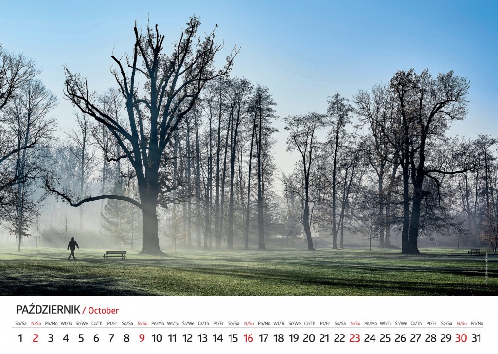 Zobacz jak wygląda kalendarz miejski na 2022 r. W środę promocja