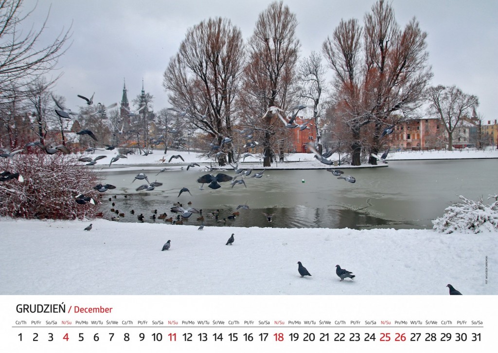 Zobacz jak wygląda kalendarz miejski na 2022 r. W środę promocja