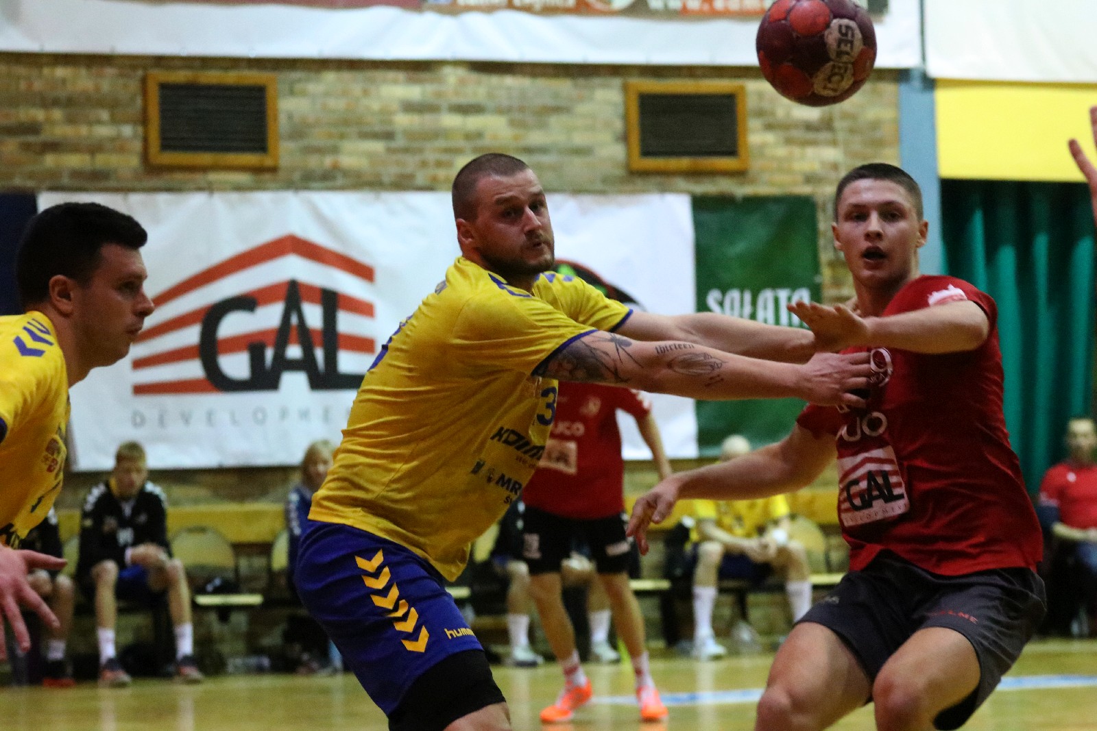 Dziewiątka Legnica nadal bez zwycięstwa w lidze