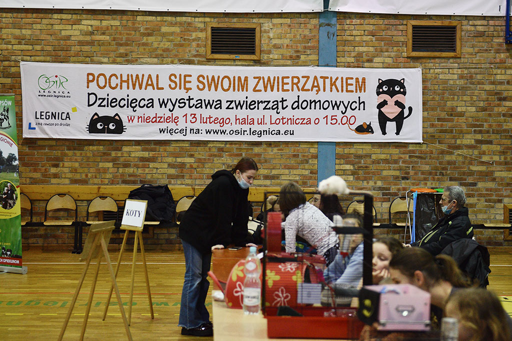 Psy, chomiki, króliki. Wszystkie powodem do dumy właścicieli