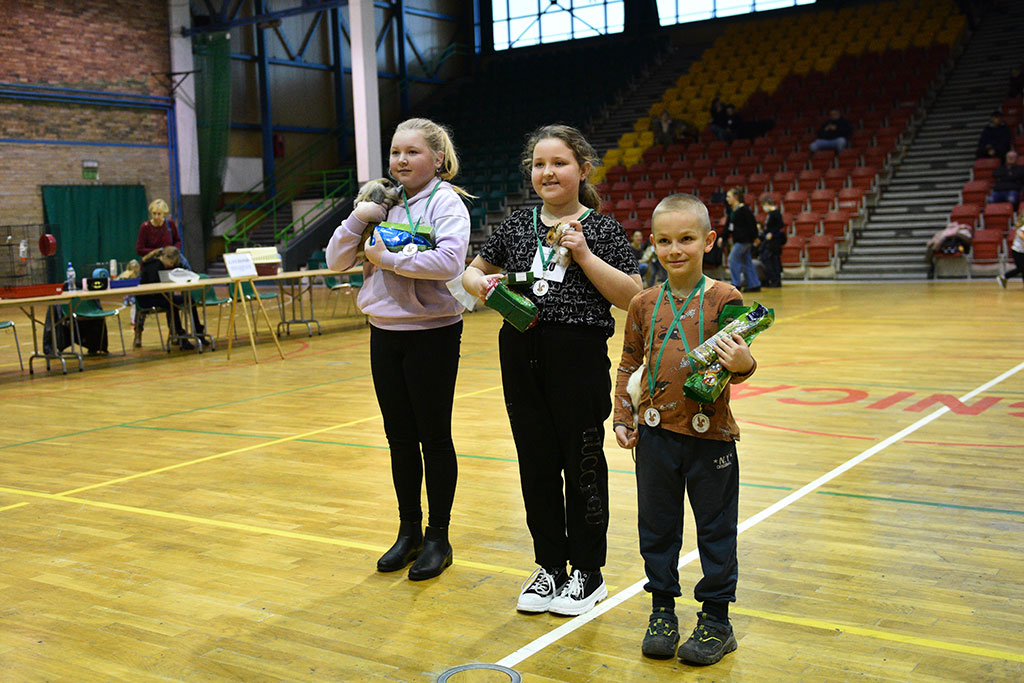 Psy, chomiki, króliki. Wszystkie powodem do dumy właścicieli