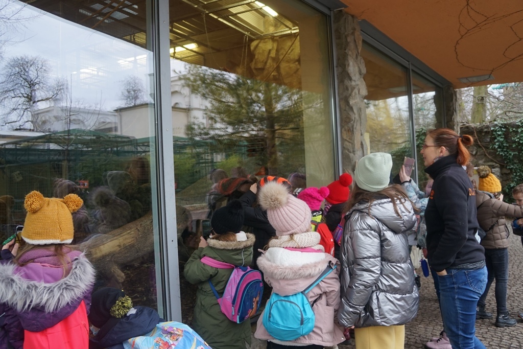 GOKiS zapełnił dzieciom czas ferii zimowych. Potrafią to zrobić