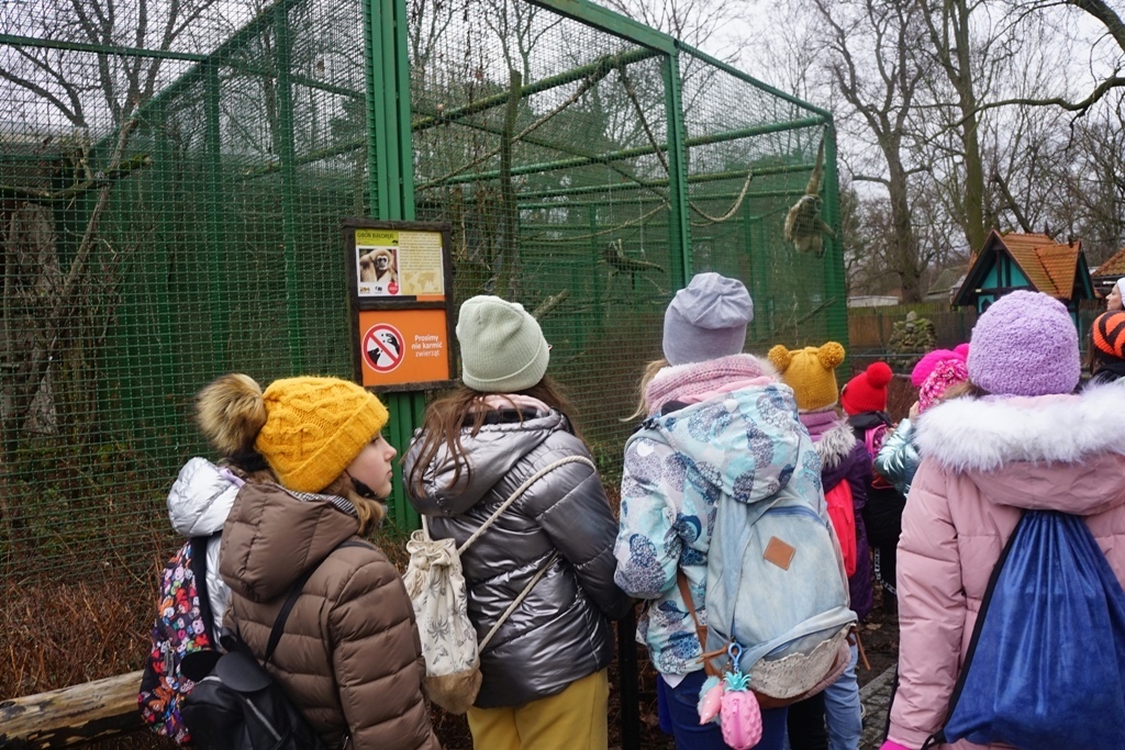 GOKiS zapełnił dzieciom czas ferii zimowych. Potrafią to zrobić