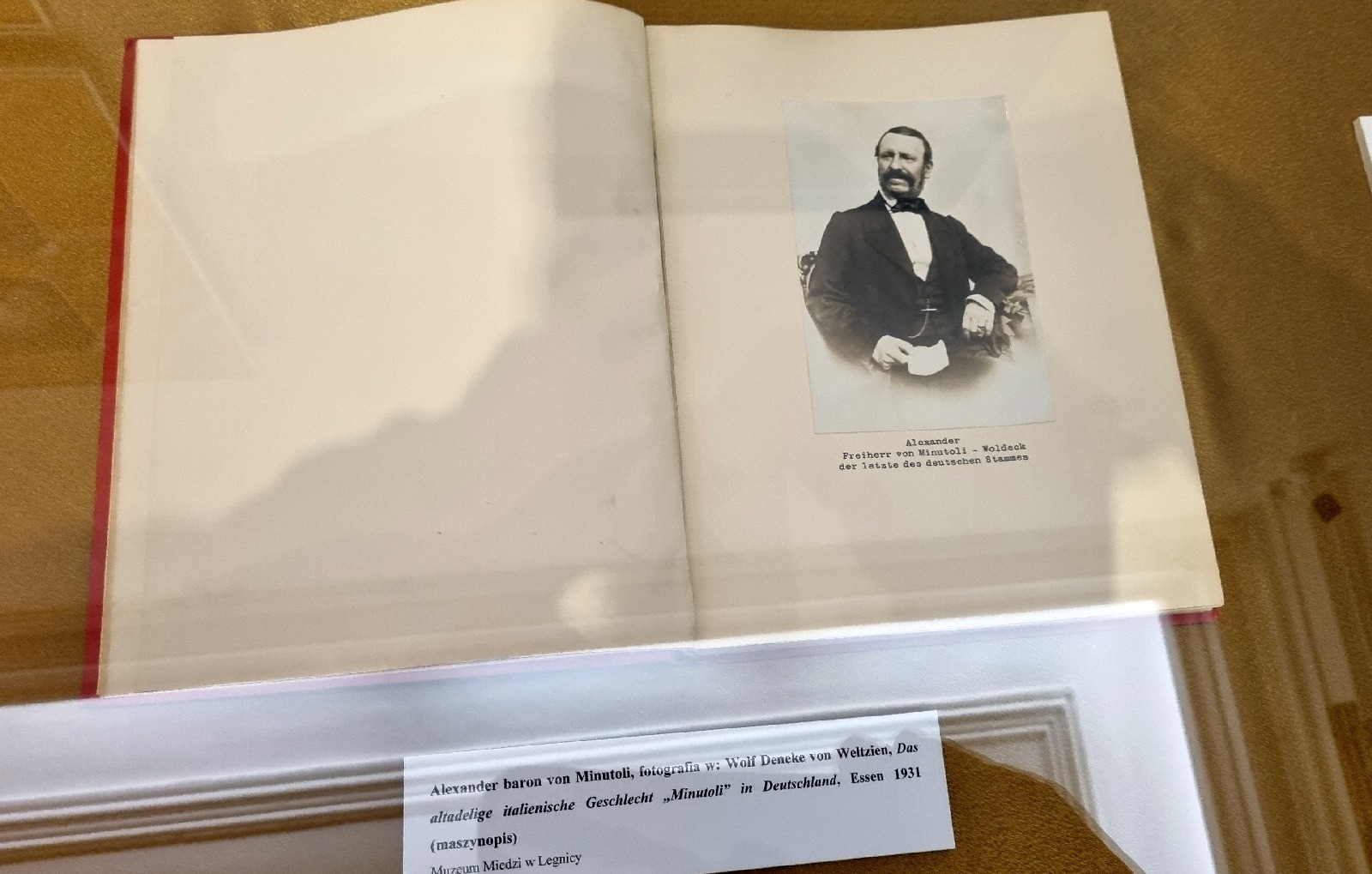 W dawnym atelier. Dzieje fotografii w Legnicy 1839–1939