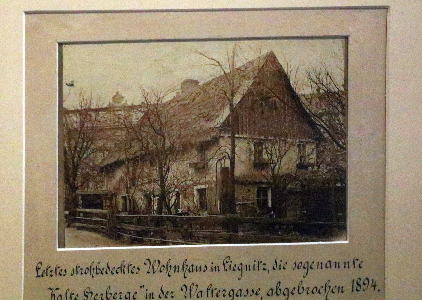 W dawnym atelier. Dzieje fotografii w Legnicy 1839–1939