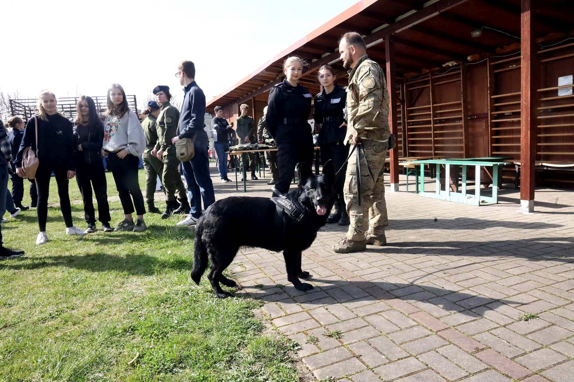 Dzień Otwartych Drzwi w VII Liceum Ogólnokształcącym w Legnicy