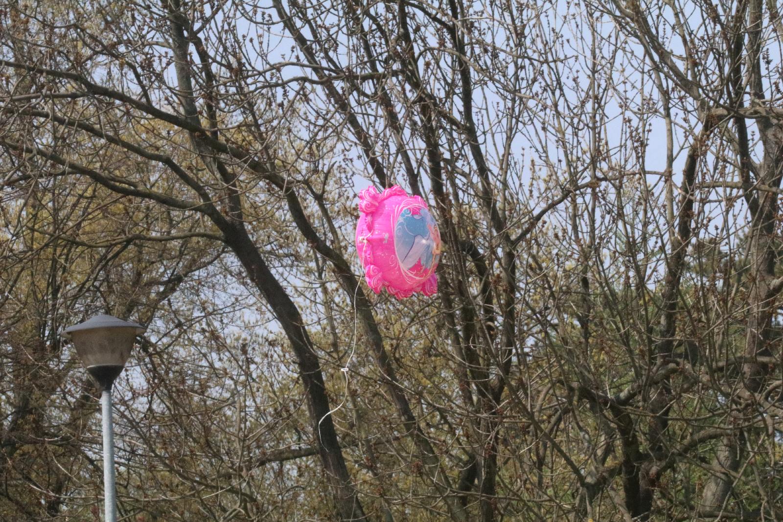 Piknik Siatkarski z OSiRem już za nami