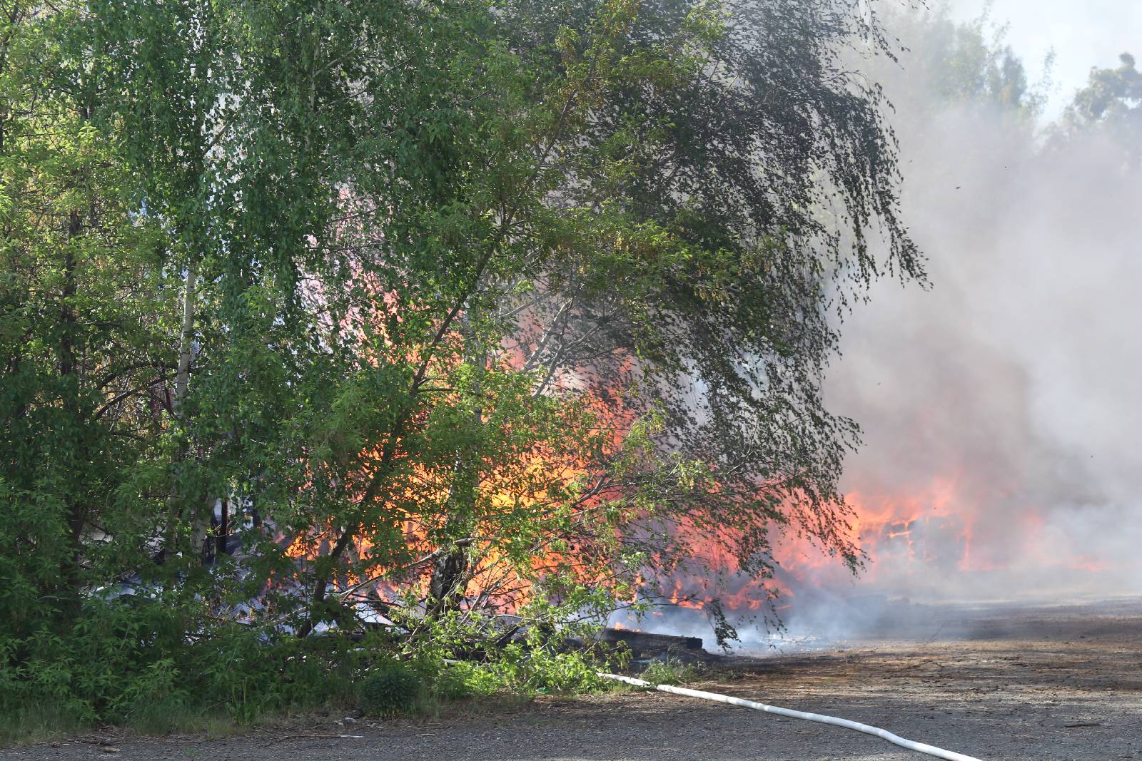 Straż pożarna gasi podkłady kolejowe koło stacji Legnica Północ