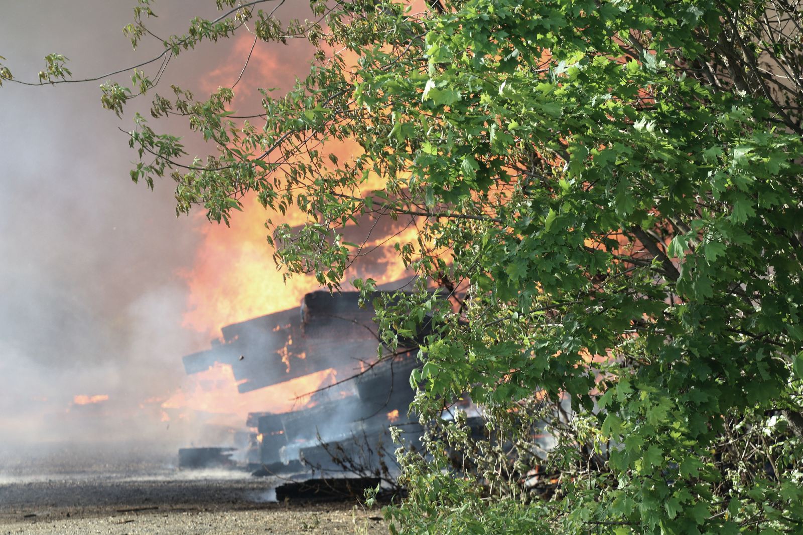 Straż pożarna gasi podkłady kolejowe koło stacji Legnica Północ