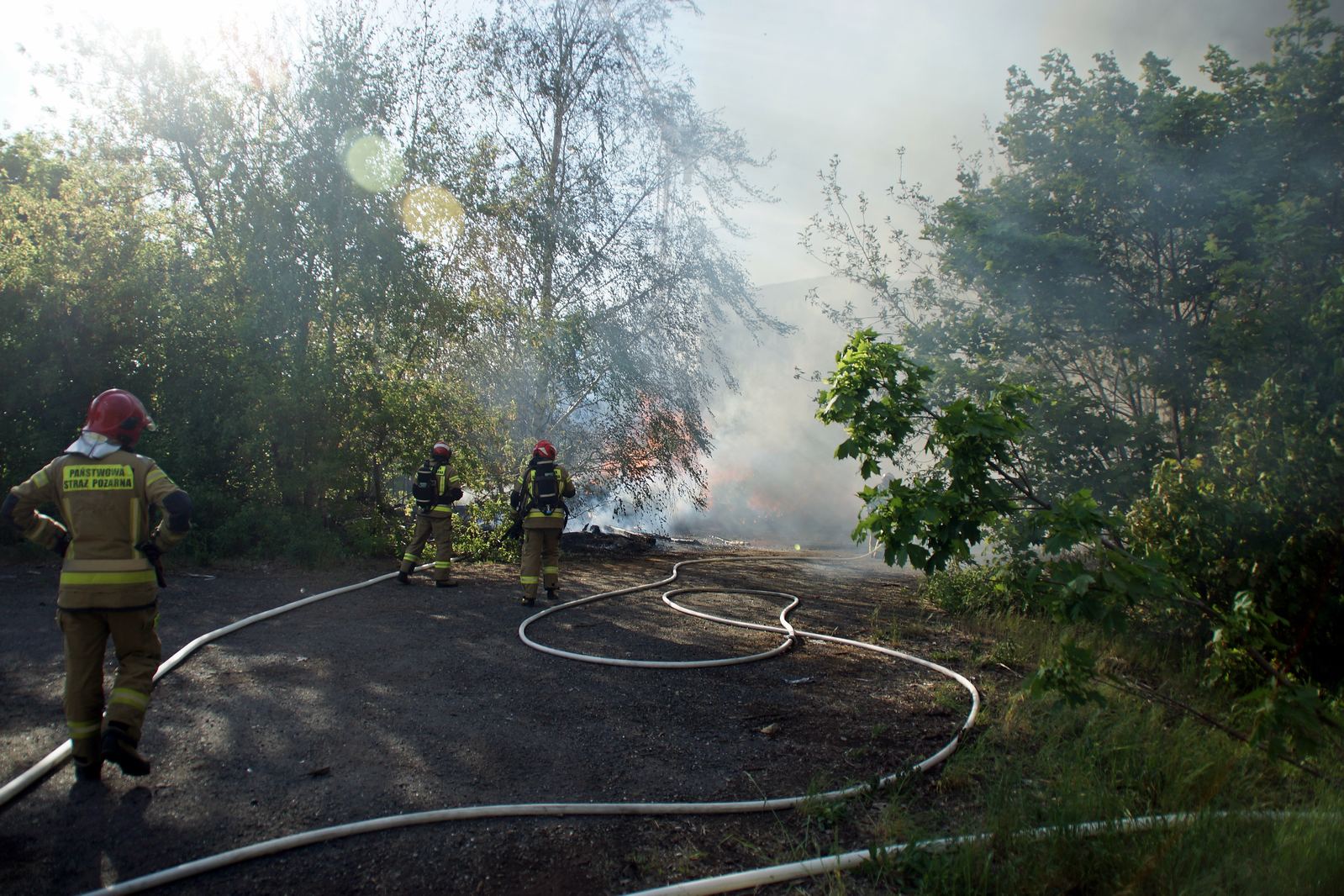 Straż pożarna gasi podkłady kolejowe koło stacji Legnica Północ