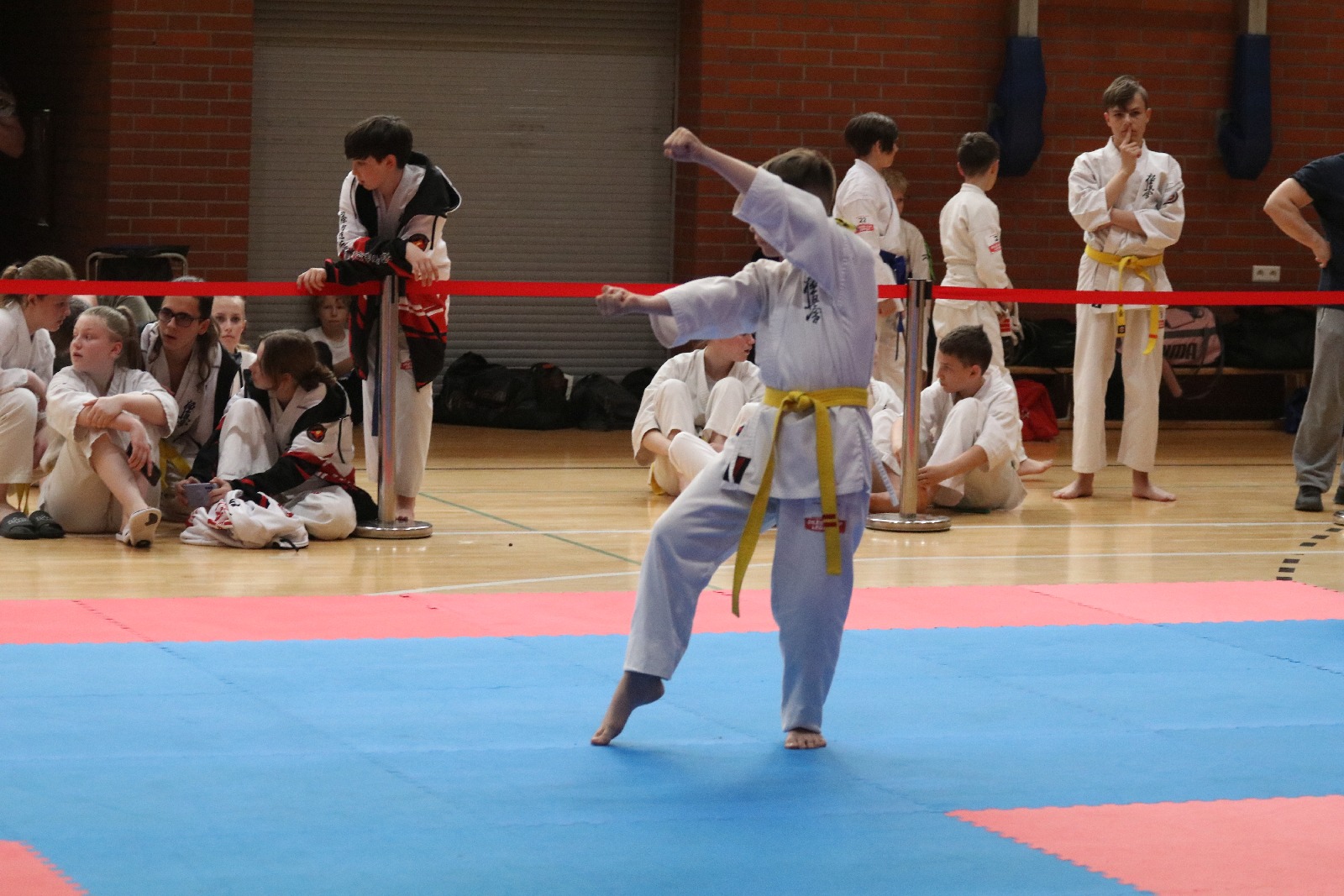 Silesia Cup. Zawody w ramach Polskiej Ligi Karate Kontaktowego