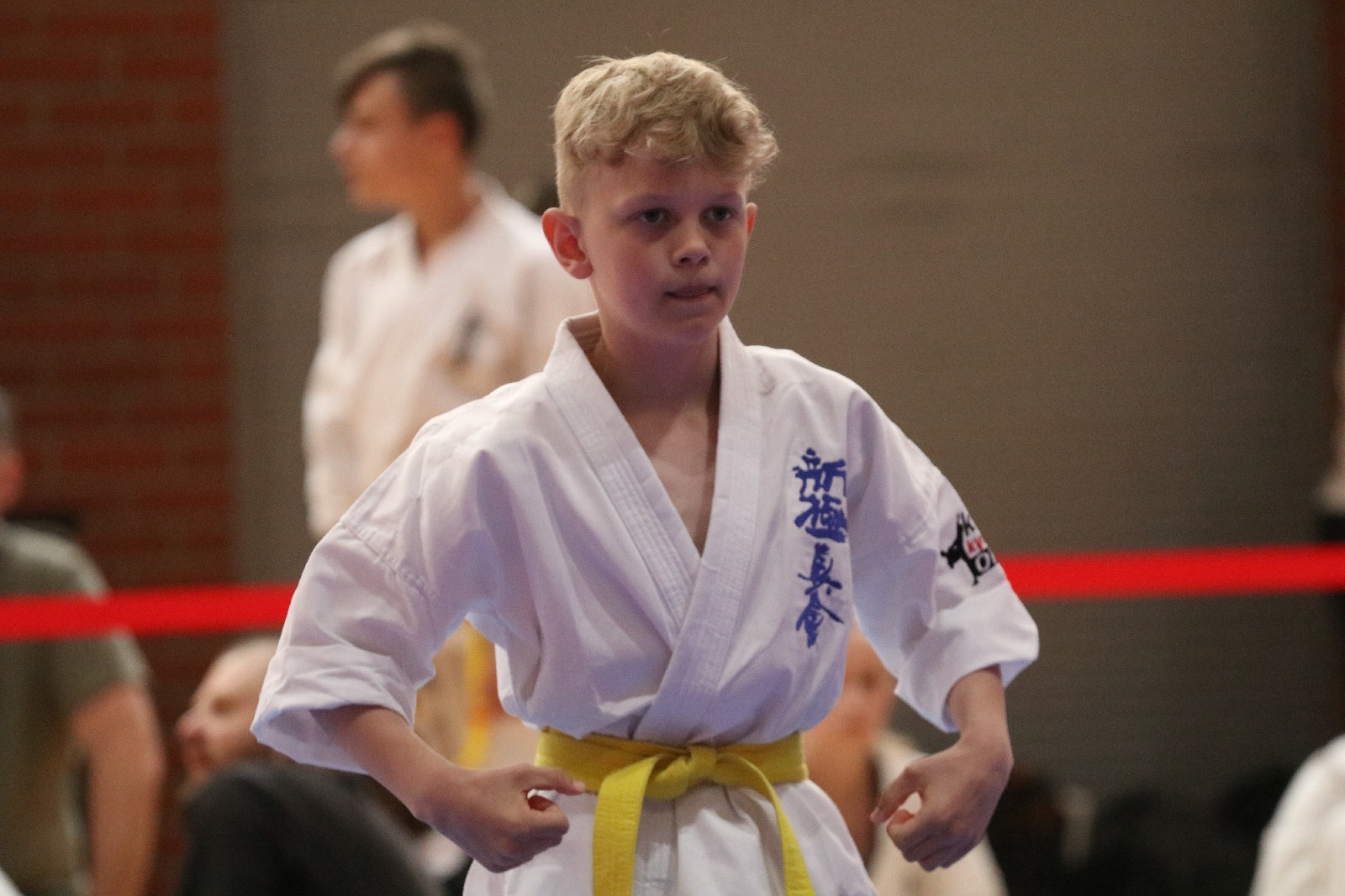 Silesia Cup. Zawody w ramach Polskiej Ligi Karate Kontaktowego