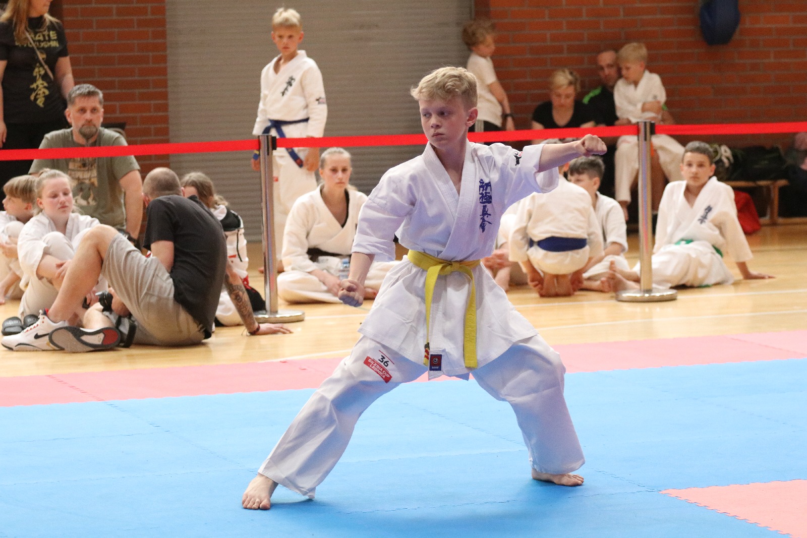 Silesia Cup. Zawody w ramach Polskiej Ligi Karate Kontaktowego