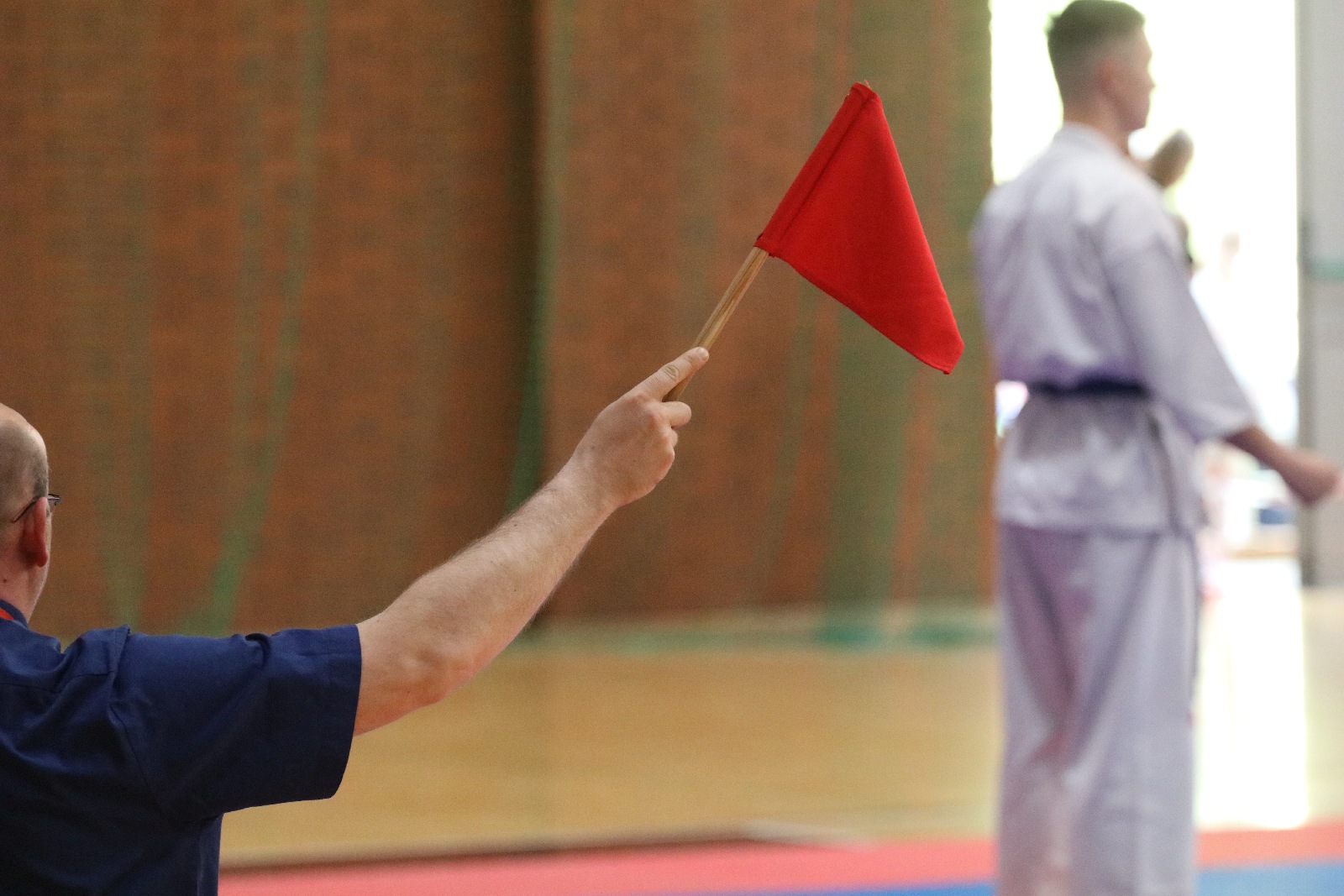 Silesia Cup. Zawody w ramach Polskiej Ligi Karate Kontaktowego