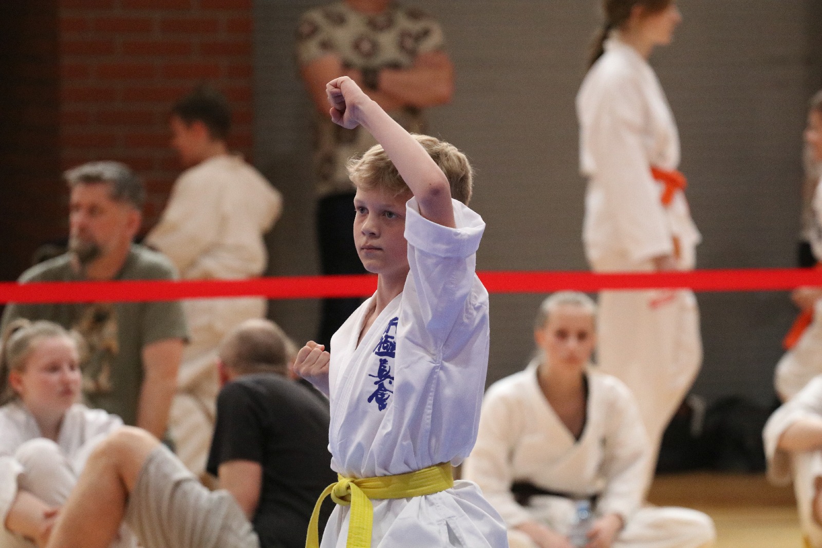 Silesia Cup. Zawody w ramach Polskiej Ligi Karate Kontaktowego