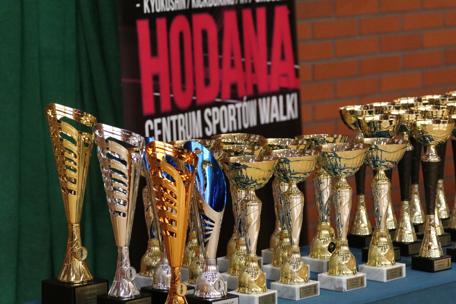 Silesia Cup. Zawody w ramach Polskiej Ligi Karate Kontaktowego