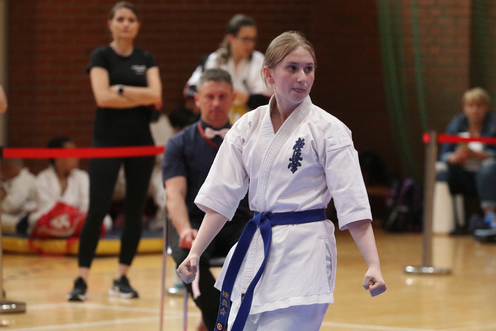 Silesia Cup. Zawody w ramach Polskiej Ligi Karate Kontaktowego