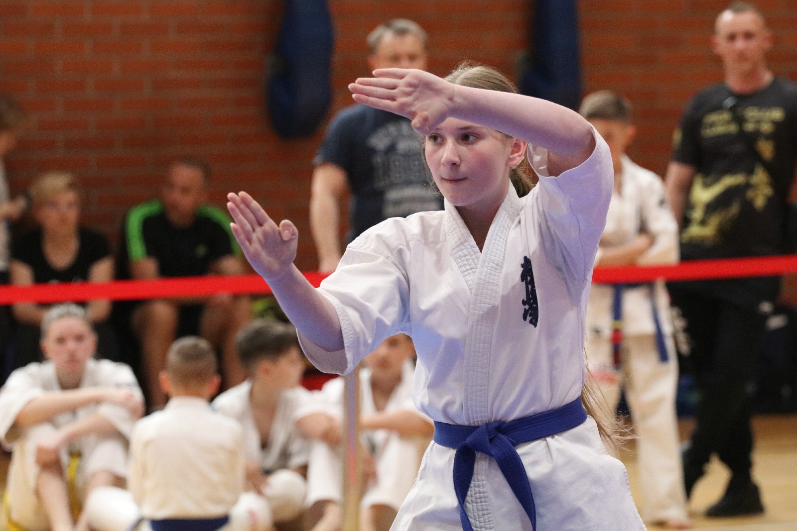 Silesia Cup. Zawody w ramach Polskiej Ligi Karate Kontaktowego