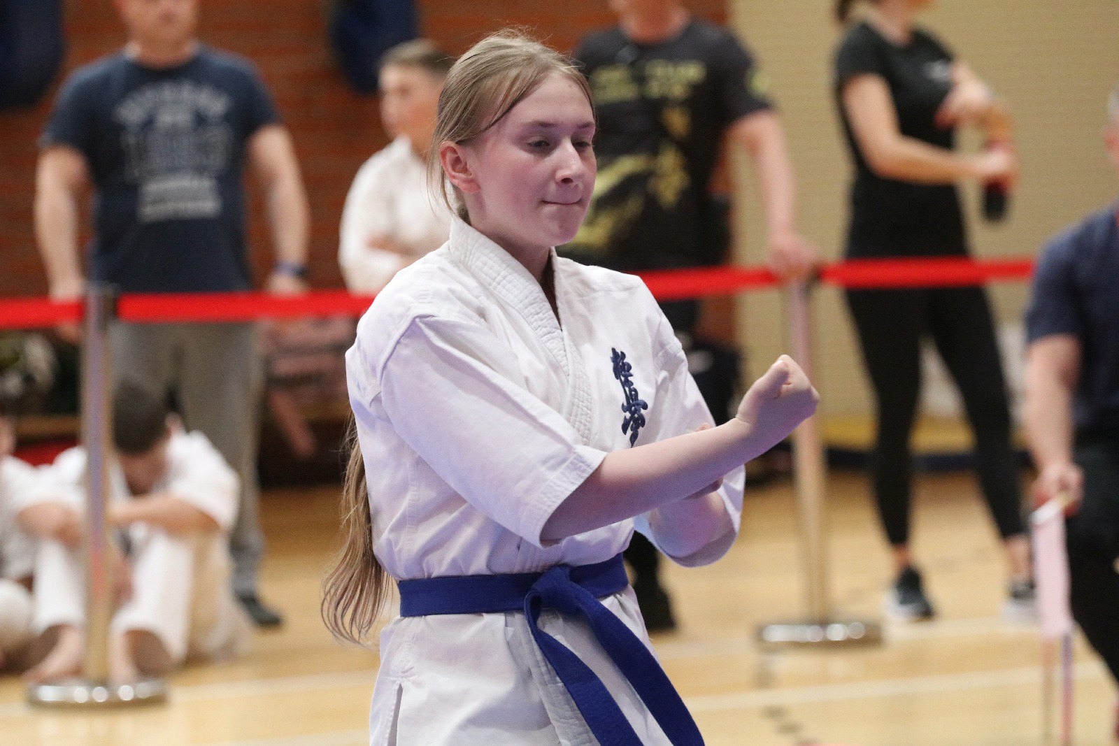 Silesia Cup. Zawody w ramach Polskiej Ligi Karate Kontaktowego