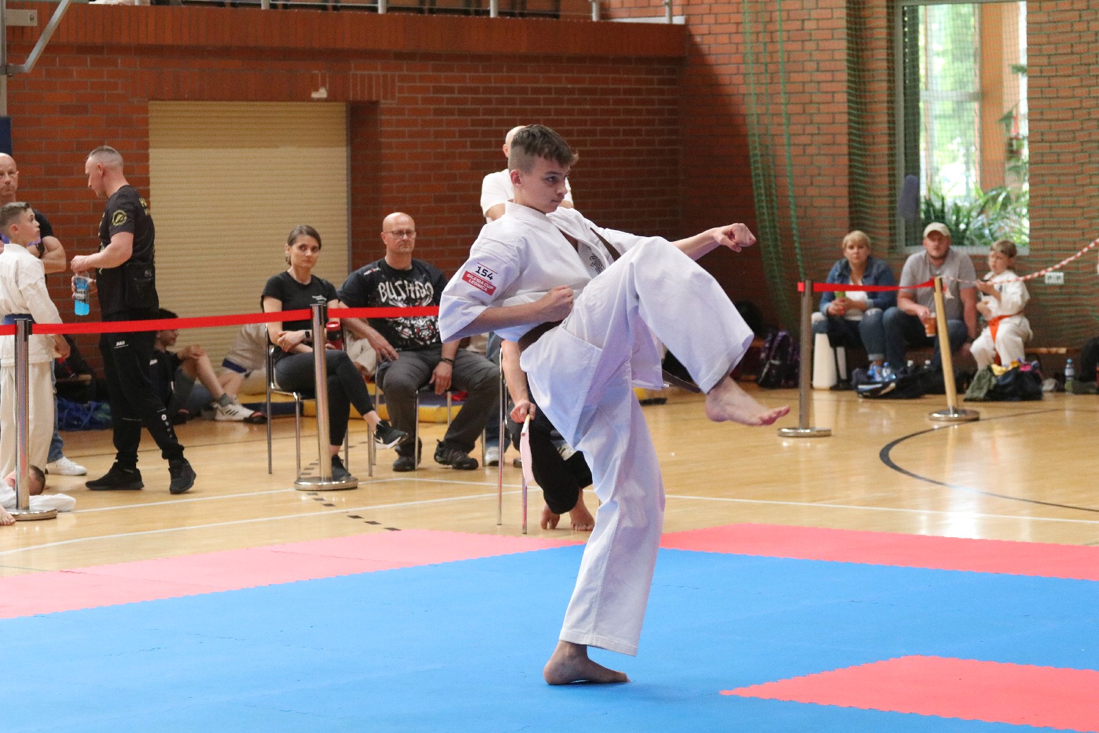 Silesia Cup. Zawody w ramach Polskiej Ligi Karate Kontaktowego