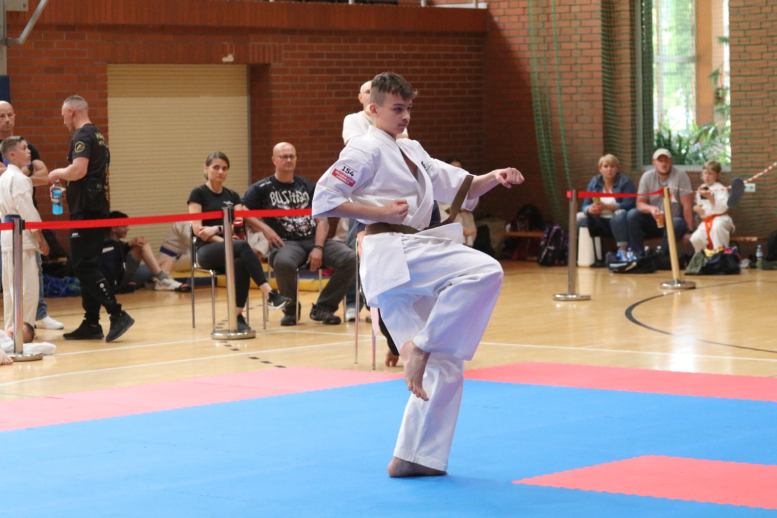 Silesia Cup. Zawody w ramach Polskiej Ligi Karate Kontaktowego