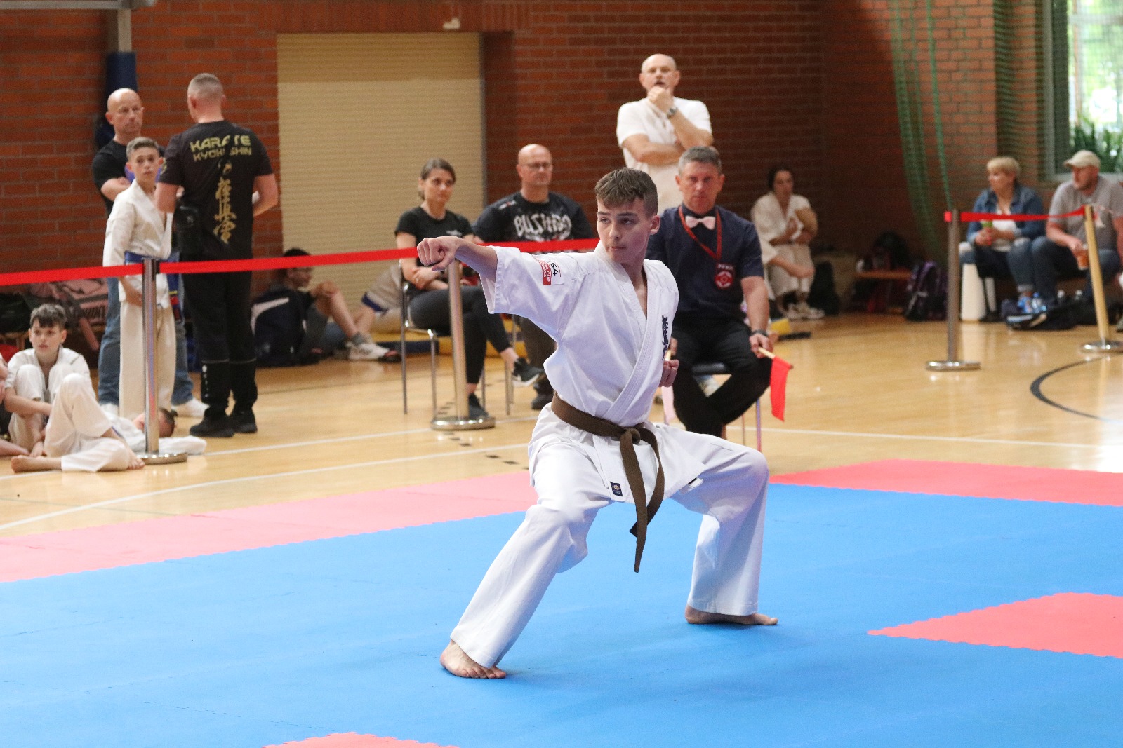Silesia Cup. Zawody w ramach Polskiej Ligi Karate Kontaktowego