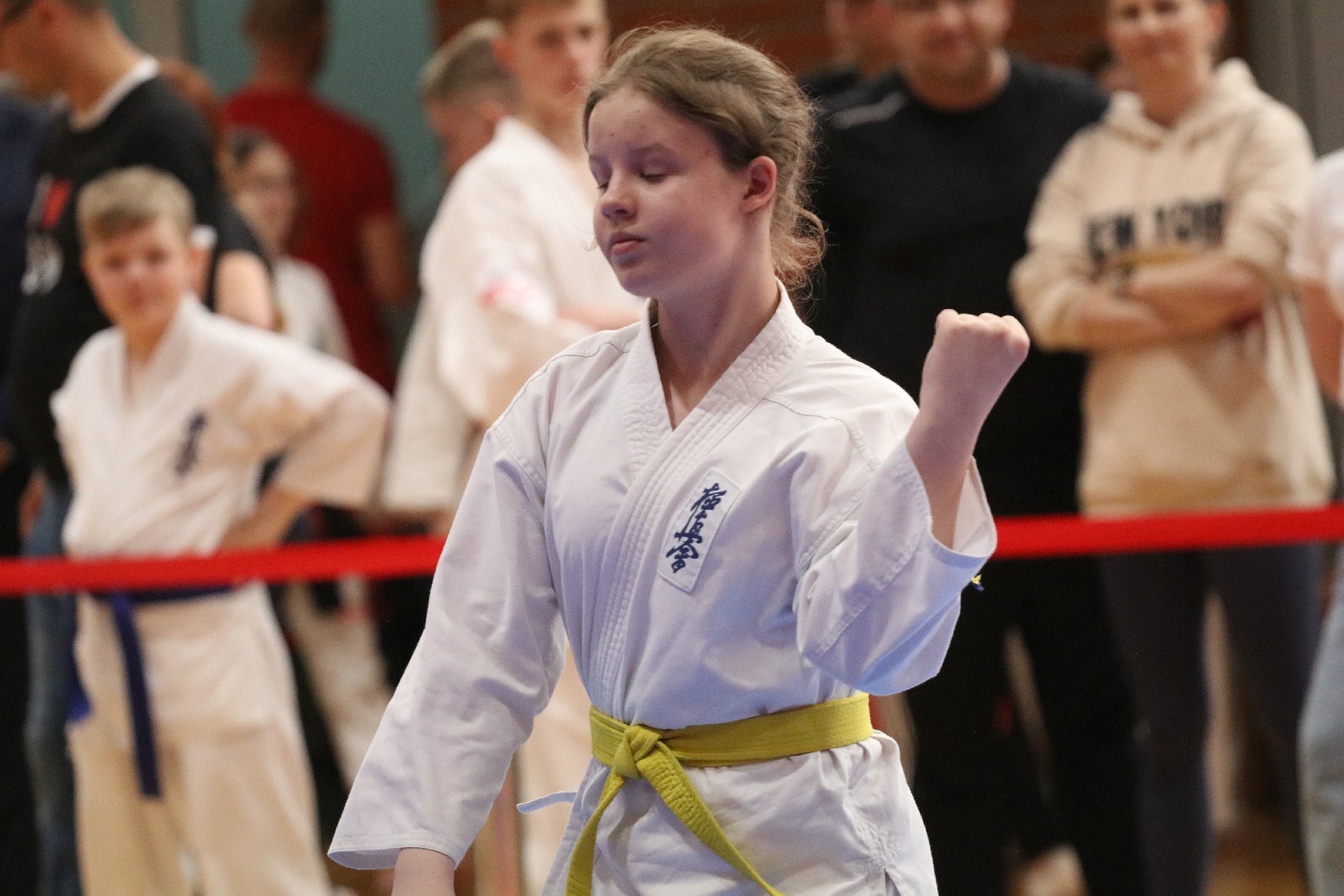 Silesia Cup. Zawody w ramach Polskiej Ligi Karate Kontaktowego
