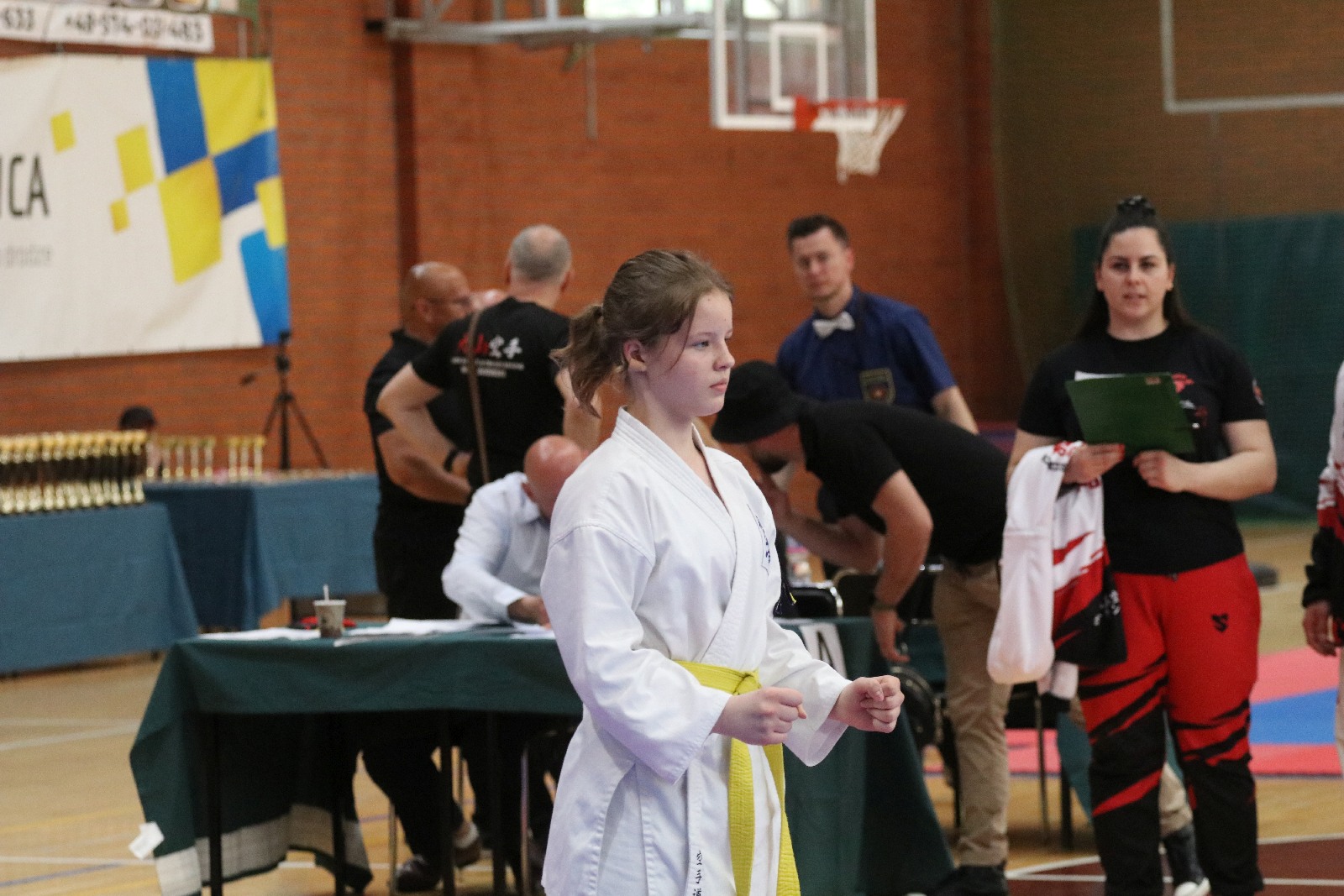 Silesia Cup. Zawody w ramach Polskiej Ligi Karate Kontaktowego