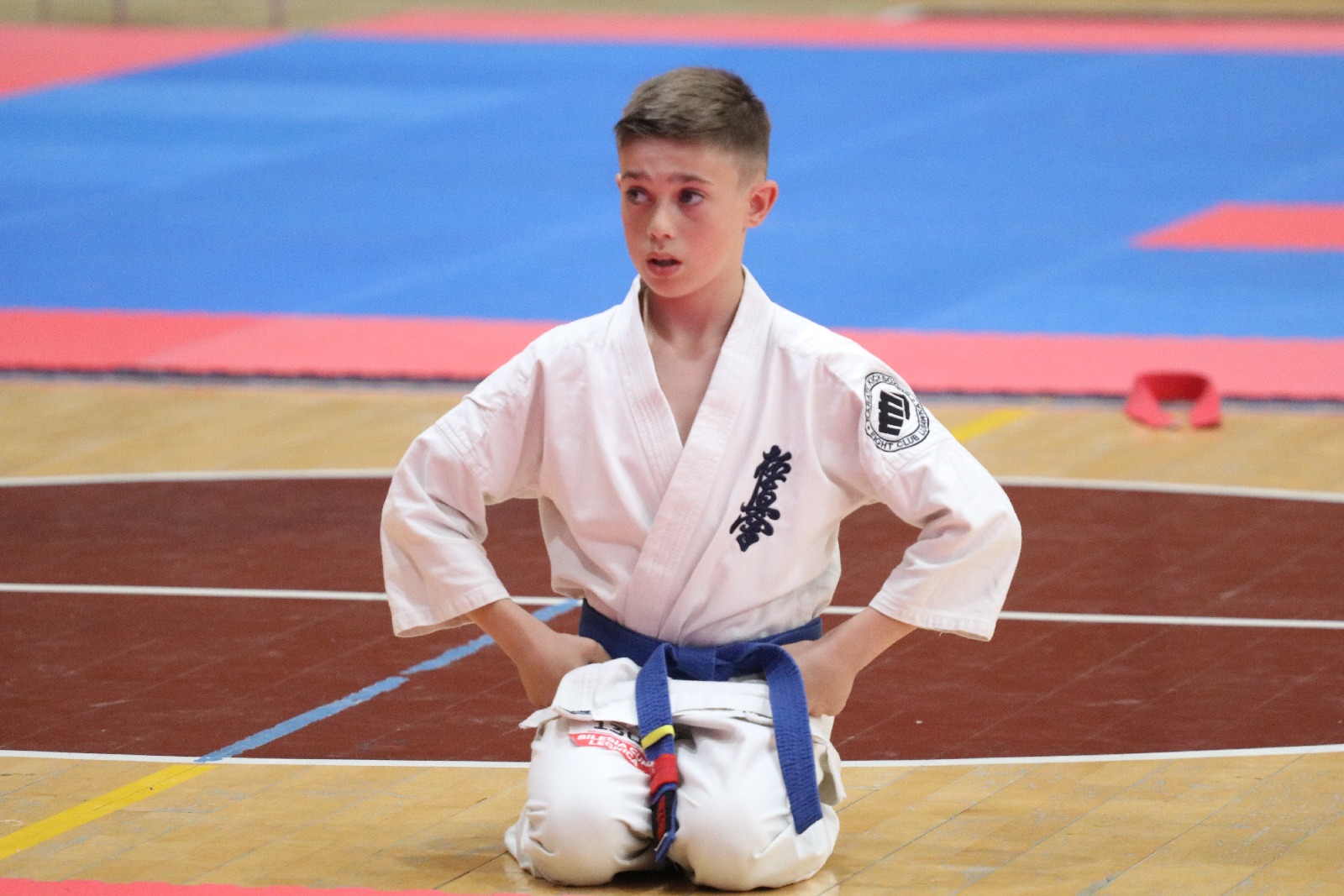 Silesia Cup. Zawody w ramach Polskiej Ligi Karate Kontaktowego