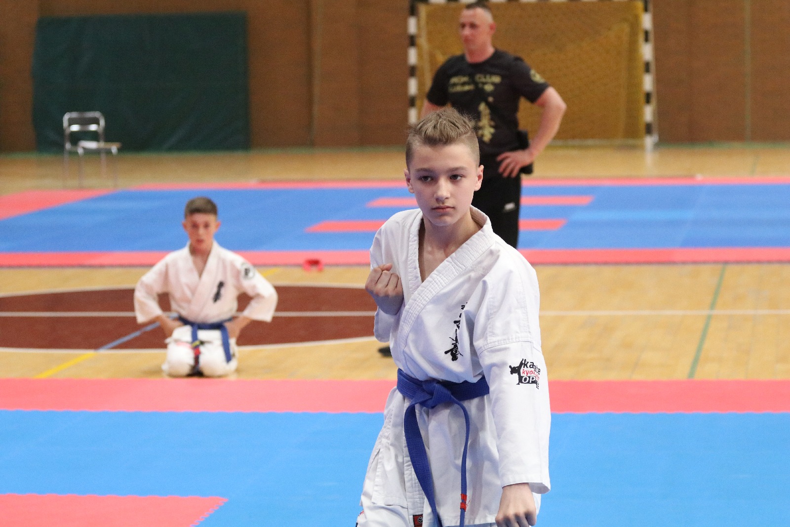 Silesia Cup. Zawody w ramach Polskiej Ligi Karate Kontaktowego