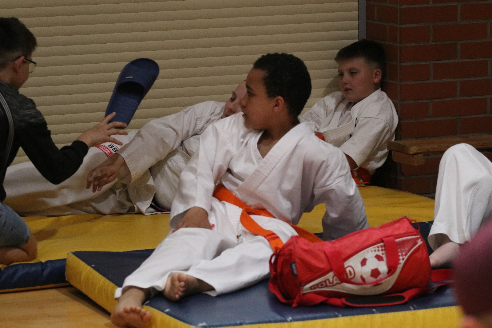 Silesia Cup. Zawody w ramach Polskiej Ligi Karate Kontaktowego